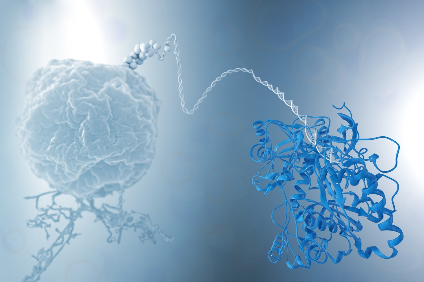 Methanocaldococcus jannaschii Argonaute takes it all 